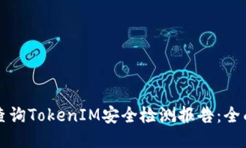 如何查询TokenIM安全检测报告：全面指南
