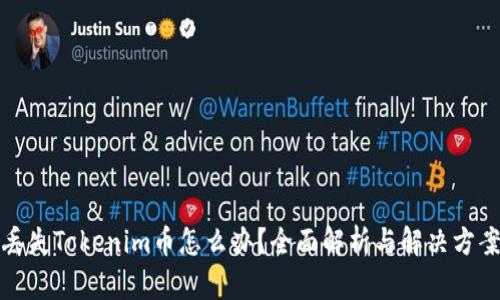 丢失Tokenim币怎么办？全面解析与解决方案