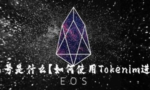 Tokenim交易号是什么？如何使用Tokenim进行安全交易？